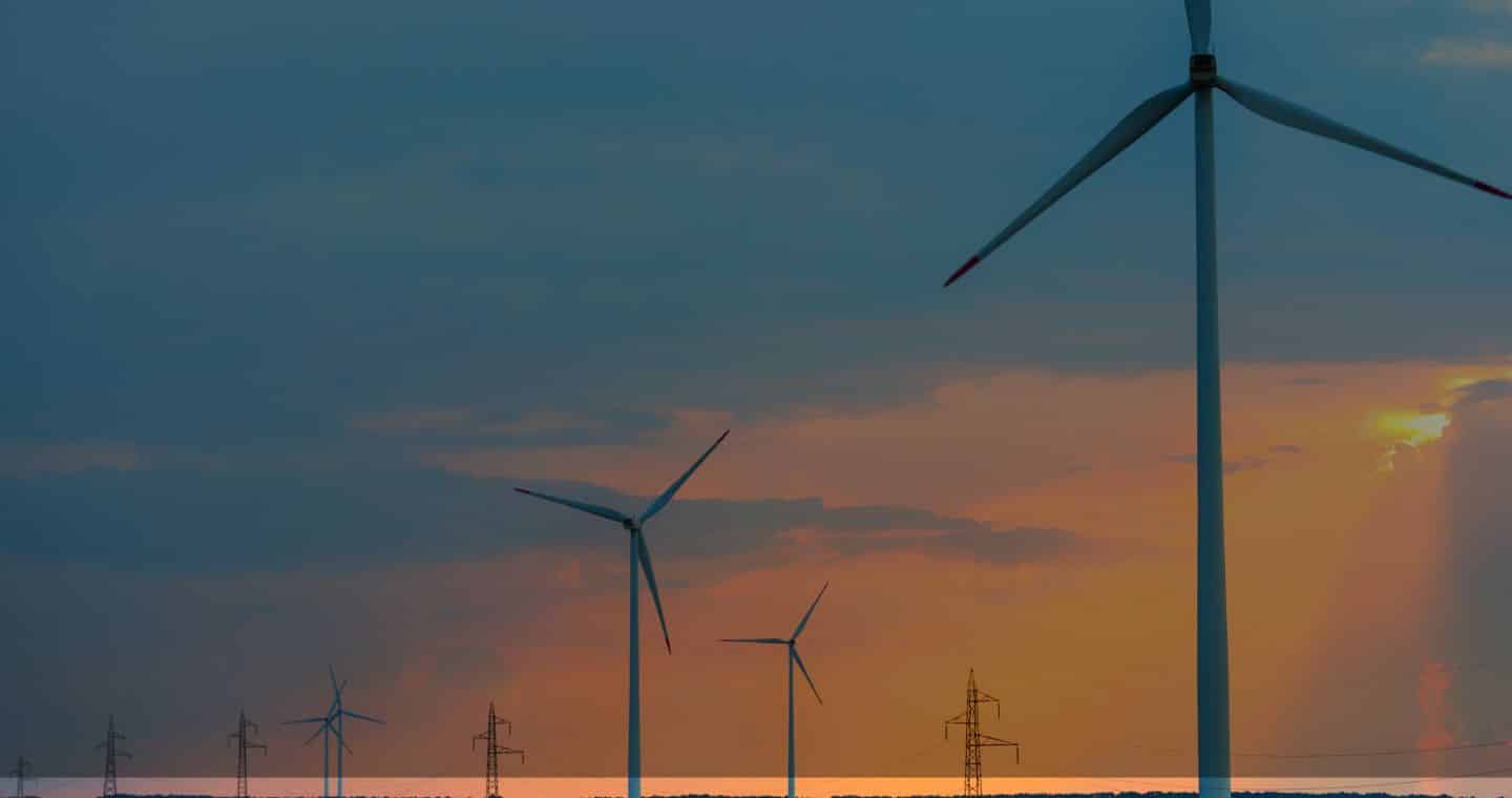 offre de mission Directeur des Systèmes d'Information de transition