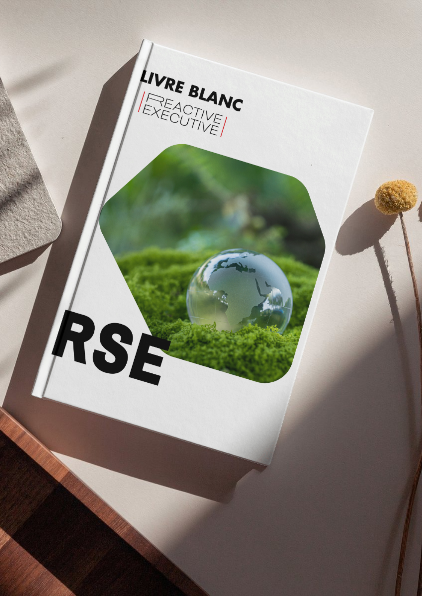 livre blanc RSE